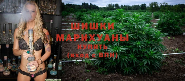 индика Армянск
