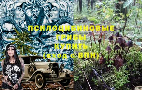 мдпв Осинники