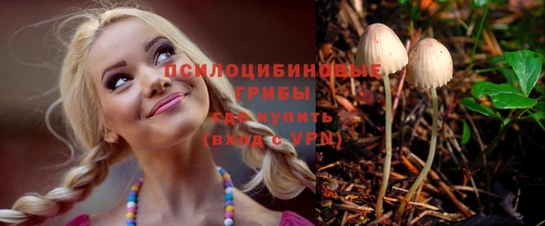 дурь Арсеньев
