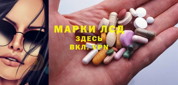 индика Армянск